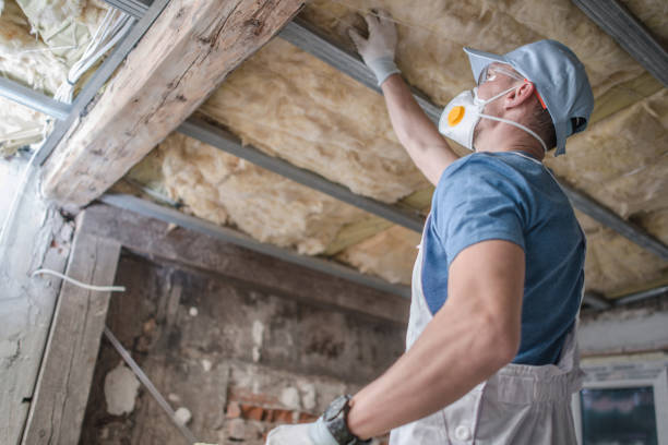 Best Commercial Insulation Services  in Clearwater, KS